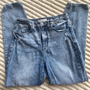 Willow + Root Distressed Mom Jean